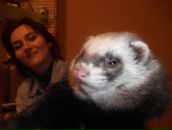 Фотография Козловского Андрея