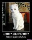 Олексій Фарина фотография #49 (источник - https://vk.com/id57227092)