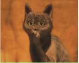 Фотография Третьяковой Марии