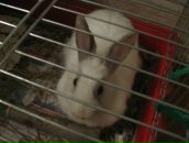 Сергей Сухенко фотография #34 (источник - https://vk.com/id2933012)