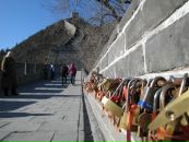 Виктор Суменко фотография #47 (источник - https://vk.com/id11662035)