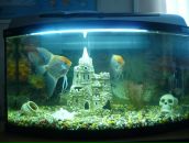 Дмитрий Иванов фотография #14 (источник - https://vk.com/id2797729)