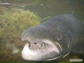 Фотография Хворостухина Сергея