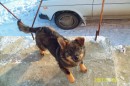 Софія Головчак фотография #23 (источник - https://vk.com/id61779643)