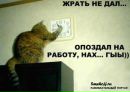Денис Погорілець фотография #40 (источник - https://vk.com/id122742682)