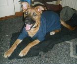 Евгений Яценюк фотография #27 (источник - https://vk.com/id5135080)