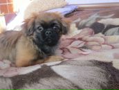 Маріна Бухарець фотография #31 (источник - https://vk.com/id162618046)