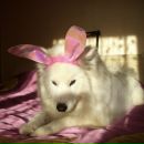 Фотография Юрской Марины