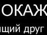 Ігор Томчані фотография #35 (источник - https://vk.com/id164771396)