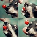 Фотография Бидюка Дмитрия