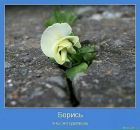 Ірина Шевченко фотография #41 (источник - https://vk.com/id17011710)