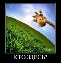 Фотография Макаренко Вадима