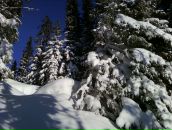 Дмитрий Звягин фотография #15 (источник - https://vk.com/id957409)