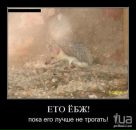 Міша Лашта фотография #11 (источник - https://vk.com/id86804953)