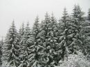Міша Борейчак фотография #30 (источник - https://vk.com/id133362664)