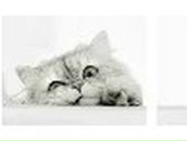 Віталій Бергович фотография #22 (источник - https://vk.com/id122769773)