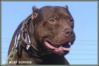 Діма Нікітін фотография #7 (источник - https://vk.com/id38752740)