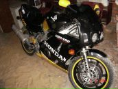 Фотография Гончарова Никиты