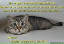 Фотография Тимошенко Нины