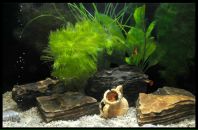 Катя Паньків фотография #7 (источник - https://vk.com/id162318244)