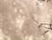 Іван Чізмар фотография #39 (источник - https://vk.com/id90329783)