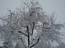 Руслана Матвіюк фотография #31 (источник - https://vk.com/id136692471)