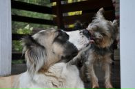 Виктор Андросов фотография #14 (источник - https://vk.com/id1914610)