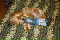 Иван Андреев фотография #3 (источник - https://vk.com/id2534545)