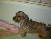 Иван Андреев фотография #16 (источник - https://vk.com/id2534545)