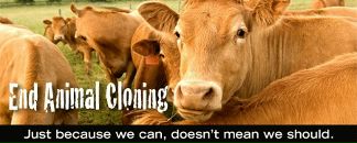 Майкл Дон фотография #2 (источник - https://vk.com/id4710406)