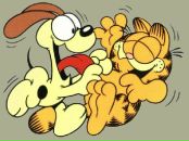 Фотография Фурманова Андрея