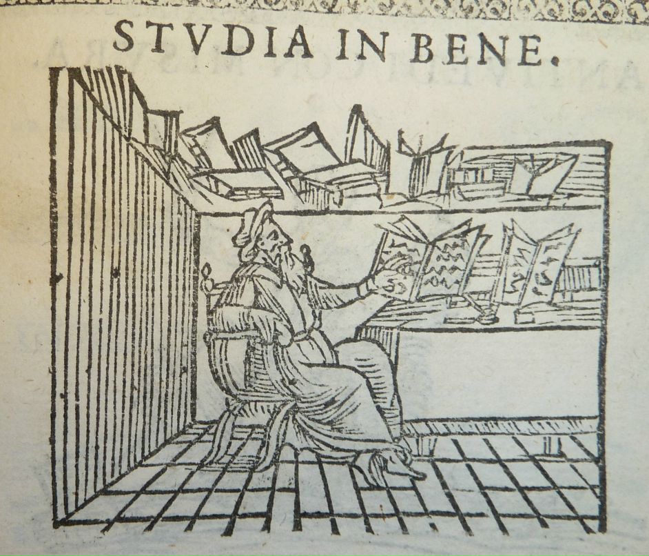 Jaroslav Castillo фотография #28