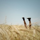 Фотография Сметаниной Светланы