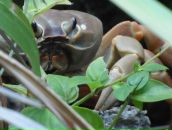 Фотография Юдакова Максима