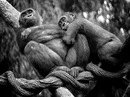 Фотография Демидовой Натальи