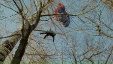 Фотография Николаева Валеры