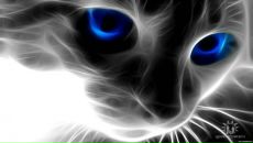 Фотография Румянцев Юрий