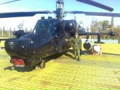 Фотография Дикарева Дениса