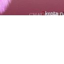 Олеся Вуйців фотография #12 (источник - https://vk.com/id74029763)