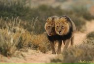 Фотография Бояршиновой Евгении