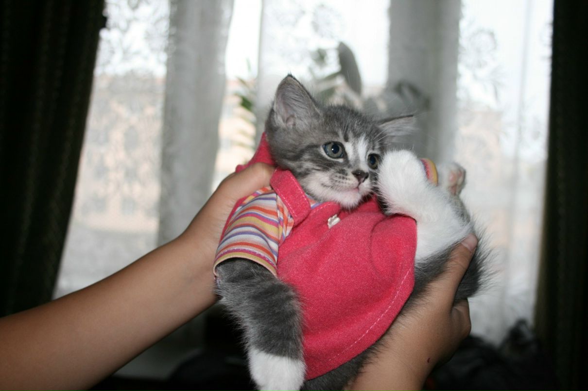 Милена Уланова фотография #22