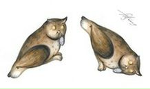 Фотография Коробов Сергей