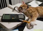 Фотография Иванчук Данил