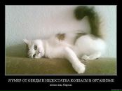 Фотография Авдеева Сергея