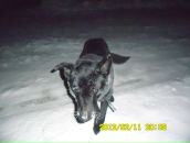 Славік Котвiцький фотография #21 (источник - https://vk.com/id136300007)