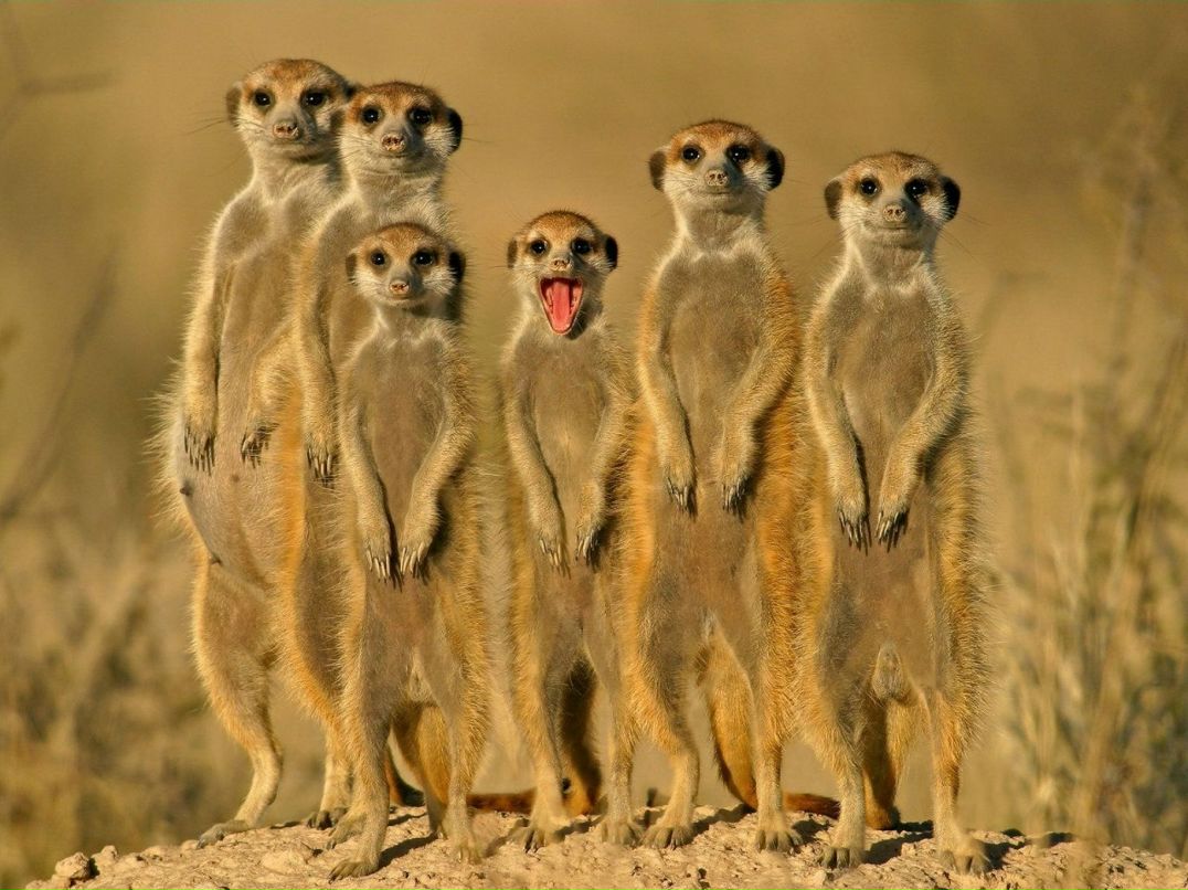 Иван Бот фотография #39