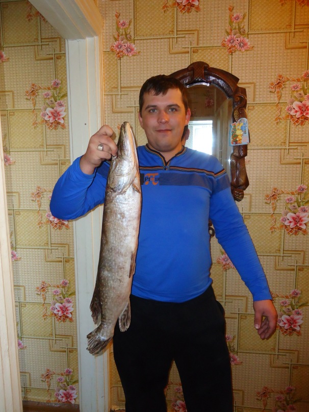 Дмитрий Гриценко фотография #5