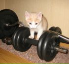 Фотография Кузнецова Андрея