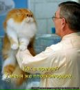 Ангеліна Коновал фотография #41 (источник - https://vk.com/id85066526)
