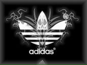 Фотография Лаврентьева Михаила